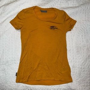 Ice Breaker Merino Wool Tech Lite Short Sleeve Crewe T-Shirt Caravan Life